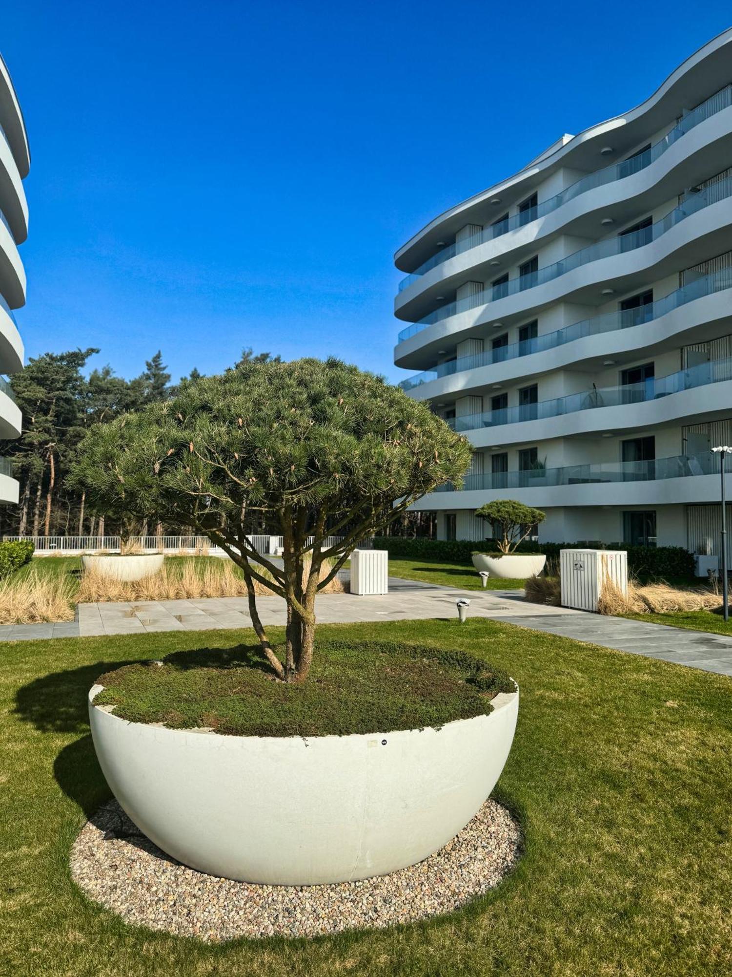 Pearl Apartment *